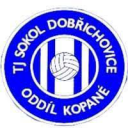 TJ Sokol Dobřichovice B